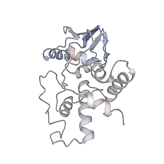 21638_6wdj_I_v1-3
Cryo-EM of elongating ribosome with EF-Tu*GTP elucidates tRNA proofreading (Non-cognate Structure V-A1)