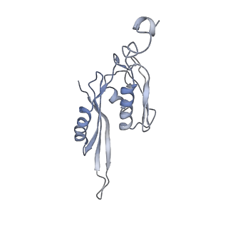 21638_6wdj_J_v1-2
Cryo-EM of elongating ribosome with EF-Tu*GTP elucidates tRNA proofreading (Non-cognate Structure V-A1)