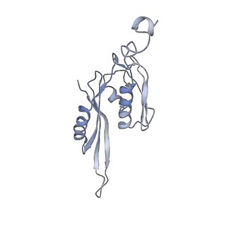 21638_6wdj_J_v1-3
Cryo-EM of elongating ribosome with EF-Tu*GTP elucidates tRNA proofreading (Non-cognate Structure V-A1)