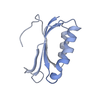 21638_6wdj_K_v1-2
Cryo-EM of elongating ribosome with EF-Tu*GTP elucidates tRNA proofreading (Non-cognate Structure V-A1)