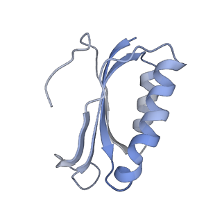 21638_6wdj_K_v1-3
Cryo-EM of elongating ribosome with EF-Tu*GTP elucidates tRNA proofreading (Non-cognate Structure V-A1)