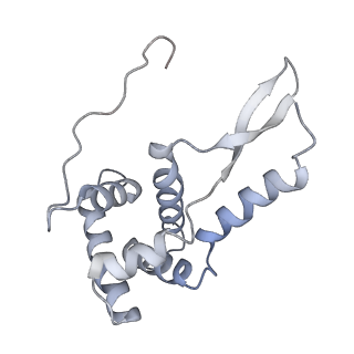 21638_6wdj_L_v1-2
Cryo-EM of elongating ribosome with EF-Tu*GTP elucidates tRNA proofreading (Non-cognate Structure V-A1)