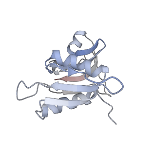 21638_6wdj_M_v1-2
Cryo-EM of elongating ribosome with EF-Tu*GTP elucidates tRNA proofreading (Non-cognate Structure V-A1)