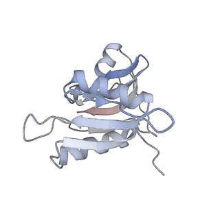 21638_6wdj_M_v1-3
Cryo-EM of elongating ribosome with EF-Tu*GTP elucidates tRNA proofreading (Non-cognate Structure V-A1)