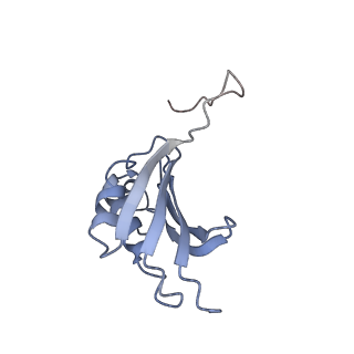 21638_6wdj_P_v1-3
Cryo-EM of elongating ribosome with EF-Tu*GTP elucidates tRNA proofreading (Non-cognate Structure V-A1)