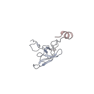 21638_6wdj_Q_v1-2
Cryo-EM of elongating ribosome with EF-Tu*GTP elucidates tRNA proofreading (Non-cognate Structure V-A1)