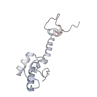 21638_6wdj_R_v1-2
Cryo-EM of elongating ribosome with EF-Tu*GTP elucidates tRNA proofreading (Non-cognate Structure V-A1)
