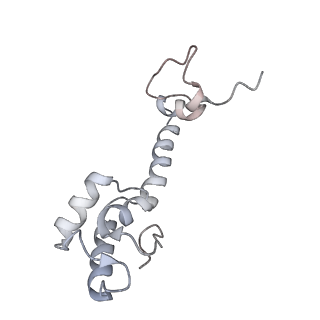 21638_6wdj_R_v1-3
Cryo-EM of elongating ribosome with EF-Tu*GTP elucidates tRNA proofreading (Non-cognate Structure V-A1)