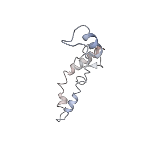 21638_6wdj_S_v1-2
Cryo-EM of elongating ribosome with EF-Tu*GTP elucidates tRNA proofreading (Non-cognate Structure V-A1)