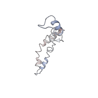 21638_6wdj_S_v1-3
Cryo-EM of elongating ribosome with EF-Tu*GTP elucidates tRNA proofreading (Non-cognate Structure V-A1)