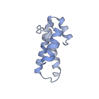 21638_6wdj_T_v1-2
Cryo-EM of elongating ribosome with EF-Tu*GTP elucidates tRNA proofreading (Non-cognate Structure V-A1)