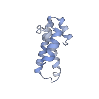 21638_6wdj_T_v1-3
Cryo-EM of elongating ribosome with EF-Tu*GTP elucidates tRNA proofreading (Non-cognate Structure V-A1)