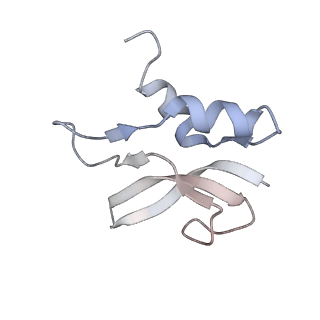 21638_6wdj_U_v1-2
Cryo-EM of elongating ribosome with EF-Tu*GTP elucidates tRNA proofreading (Non-cognate Structure V-A1)