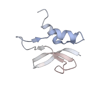 21638_6wdj_U_v1-3
Cryo-EM of elongating ribosome with EF-Tu*GTP elucidates tRNA proofreading (Non-cognate Structure V-A1)