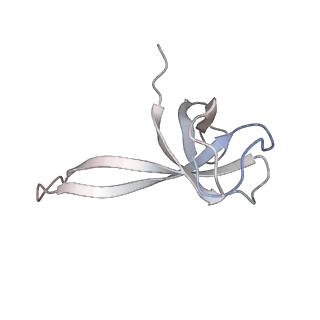 21638_6wdj_V_v1-2
Cryo-EM of elongating ribosome with EF-Tu*GTP elucidates tRNA proofreading (Non-cognate Structure V-A1)