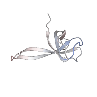 21638_6wdj_V_v1-3
Cryo-EM of elongating ribosome with EF-Tu*GTP elucidates tRNA proofreading (Non-cognate Structure V-A1)