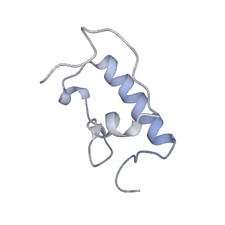 21638_6wdj_W_v1-2
Cryo-EM of elongating ribosome with EF-Tu*GTP elucidates tRNA proofreading (Non-cognate Structure V-A1)