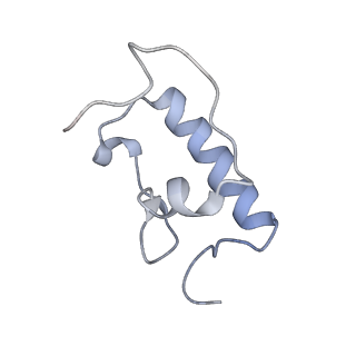 21638_6wdj_W_v1-3
Cryo-EM of elongating ribosome with EF-Tu*GTP elucidates tRNA proofreading (Non-cognate Structure V-A1)