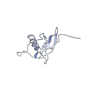 21638_6wdj_X_v1-2
Cryo-EM of elongating ribosome with EF-Tu*GTP elucidates tRNA proofreading (Non-cognate Structure V-A1)