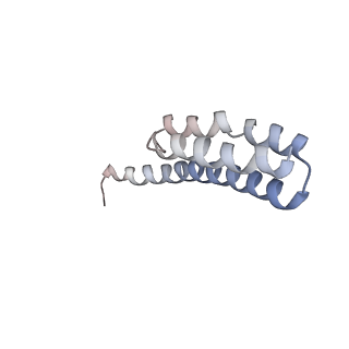 21638_6wdj_Y_v1-2
Cryo-EM of elongating ribosome with EF-Tu*GTP elucidates tRNA proofreading (Non-cognate Structure V-A1)
