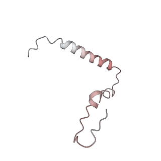 21638_6wdj_Z_v1-2
Cryo-EM of elongating ribosome with EF-Tu*GTP elucidates tRNA proofreading (Non-cognate Structure V-A1)