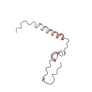 21638_6wdj_Z_v1-3
Cryo-EM of elongating ribosome with EF-Tu*GTP elucidates tRNA proofreading (Non-cognate Structure V-A1)