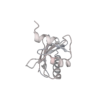 21638_6wdj_a_v1-2
Cryo-EM of elongating ribosome with EF-Tu*GTP elucidates tRNA proofreading (Non-cognate Structure V-A1)