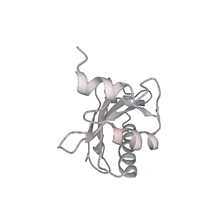 21638_6wdj_a_v1-3
Cryo-EM of elongating ribosome with EF-Tu*GTP elucidates tRNA proofreading (Non-cognate Structure V-A1)