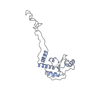 21638_6wdj_d_v1-3
Cryo-EM of elongating ribosome with EF-Tu*GTP elucidates tRNA proofreading (Non-cognate Structure V-A1)