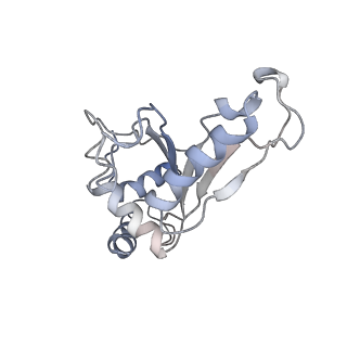 21638_6wdj_e_v1-2
Cryo-EM of elongating ribosome with EF-Tu*GTP elucidates tRNA proofreading (Non-cognate Structure V-A1)
