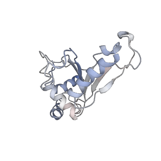 21638_6wdj_e_v1-3
Cryo-EM of elongating ribosome with EF-Tu*GTP elucidates tRNA proofreading (Non-cognate Structure V-A1)