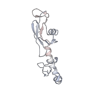 21638_6wdj_g_v1-2
Cryo-EM of elongating ribosome with EF-Tu*GTP elucidates tRNA proofreading (Non-cognate Structure V-A1)