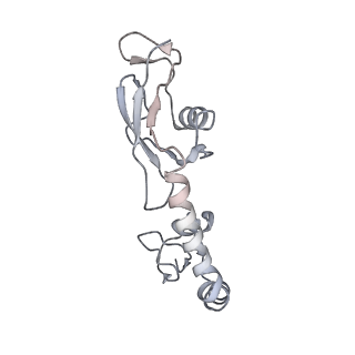 21638_6wdj_g_v1-3
Cryo-EM of elongating ribosome with EF-Tu*GTP elucidates tRNA proofreading (Non-cognate Structure V-A1)