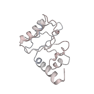 21638_6wdj_h_v1-2
Cryo-EM of elongating ribosome with EF-Tu*GTP elucidates tRNA proofreading (Non-cognate Structure V-A1)