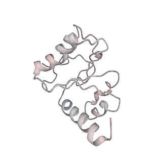 21638_6wdj_h_v1-3
Cryo-EM of elongating ribosome with EF-Tu*GTP elucidates tRNA proofreading (Non-cognate Structure V-A1)