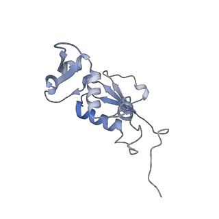 21638_6wdj_j_v1-2
Cryo-EM of elongating ribosome with EF-Tu*GTP elucidates tRNA proofreading (Non-cognate Structure V-A1)