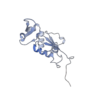 21638_6wdj_j_v1-3
Cryo-EM of elongating ribosome with EF-Tu*GTP elucidates tRNA proofreading (Non-cognate Structure V-A1)