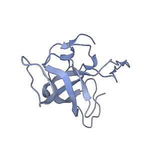 21638_6wdj_k_v1-2
Cryo-EM of elongating ribosome with EF-Tu*GTP elucidates tRNA proofreading (Non-cognate Structure V-A1)