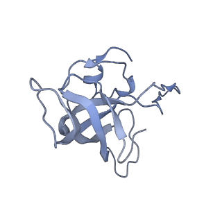 21638_6wdj_k_v1-3
Cryo-EM of elongating ribosome with EF-Tu*GTP elucidates tRNA proofreading (Non-cognate Structure V-A1)