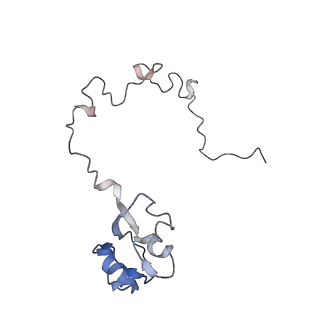 21638_6wdj_l_v1-2
Cryo-EM of elongating ribosome with EF-Tu*GTP elucidates tRNA proofreading (Non-cognate Structure V-A1)