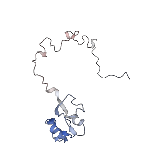 21638_6wdj_l_v1-3
Cryo-EM of elongating ribosome with EF-Tu*GTP elucidates tRNA proofreading (Non-cognate Structure V-A1)