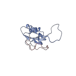 21638_6wdj_m_v1-2
Cryo-EM of elongating ribosome with EF-Tu*GTP elucidates tRNA proofreading (Non-cognate Structure V-A1)
