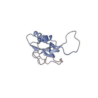 21638_6wdj_m_v1-3
Cryo-EM of elongating ribosome with EF-Tu*GTP elucidates tRNA proofreading (Non-cognate Structure V-A1)