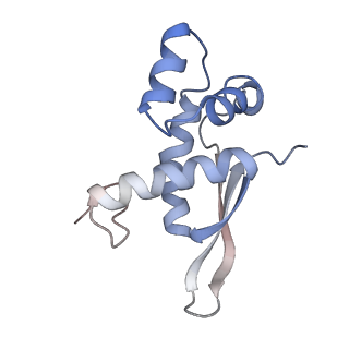 21638_6wdj_n_v1-2
Cryo-EM of elongating ribosome with EF-Tu*GTP elucidates tRNA proofreading (Non-cognate Structure V-A1)