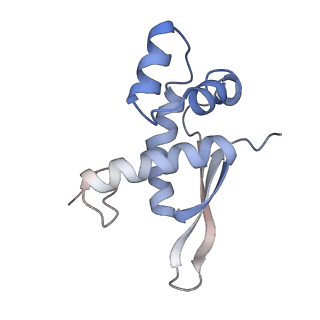 21638_6wdj_n_v1-3
Cryo-EM of elongating ribosome with EF-Tu*GTP elucidates tRNA proofreading (Non-cognate Structure V-A1)