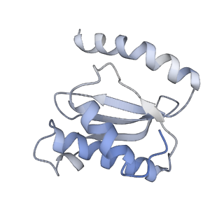 21638_6wdj_o_v1-2
Cryo-EM of elongating ribosome with EF-Tu*GTP elucidates tRNA proofreading (Non-cognate Structure V-A1)