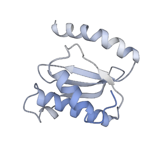 21638_6wdj_o_v1-3
Cryo-EM of elongating ribosome with EF-Tu*GTP elucidates tRNA proofreading (Non-cognate Structure V-A1)