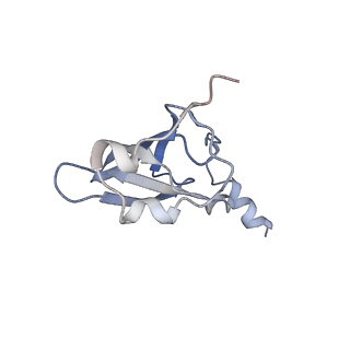 21638_6wdj_p_v1-2
Cryo-EM of elongating ribosome with EF-Tu*GTP elucidates tRNA proofreading (Non-cognate Structure V-A1)