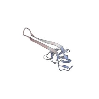 21638_6wdj_r_v1-3
Cryo-EM of elongating ribosome with EF-Tu*GTP elucidates tRNA proofreading (Non-cognate Structure V-A1)