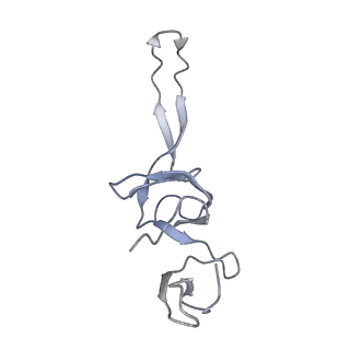 21638_6wdj_u_v1-3
Cryo-EM of elongating ribosome with EF-Tu*GTP elucidates tRNA proofreading (Non-cognate Structure V-A1)